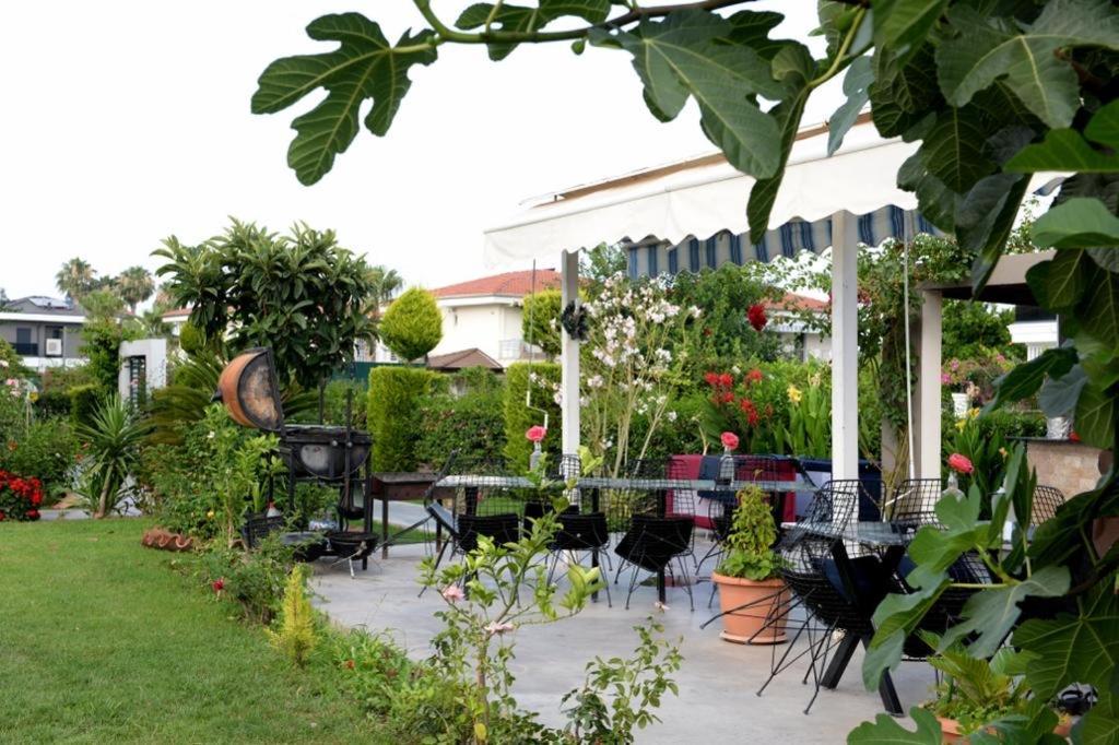 Mandalina Apartments Agva  Bagian luar foto